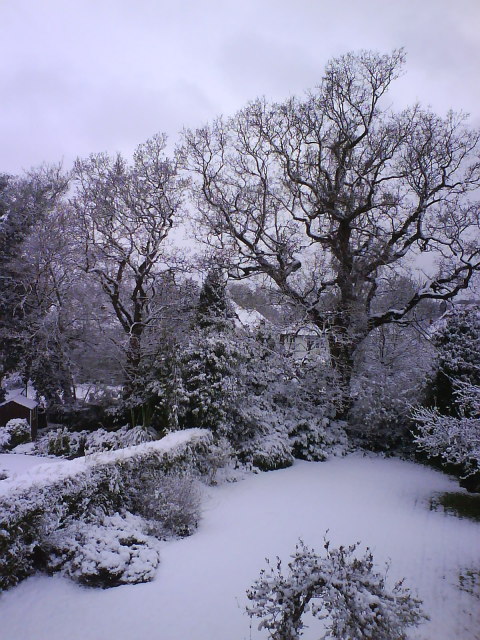 Snow, London, April 2008